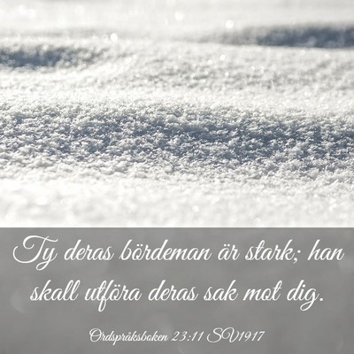 Picture 03 - Ordspråksboken 23:11 SV1917 - Ty deras bördeman är stark; han skall utföra - Bible Verse Picture