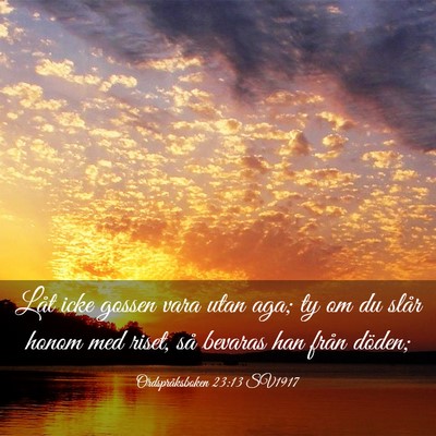 Picture 03 - Ordspråksboken 23:13 SV1917 - Låt icke gossen vara utan aga; ty om du slår - Bible Verse Picture