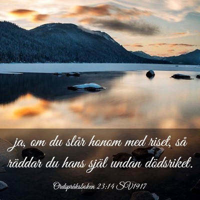 Picture 03 - Ordspråksboken 23:14 SV1917 - ja, om du slår honom med riset, så räddar du - Bible Verse Picture