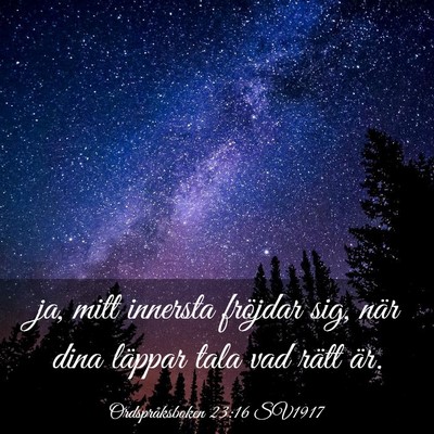 Picture 03 - Ordspråksboken 23:16 SV1917 - ja, mitt innersta fröjdar sig, när dina läppar - Bible Verse Picture