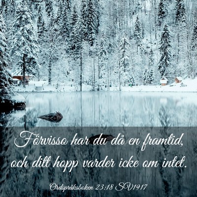 Picture 03 - Ordspråksboken 23:18 SV1917 - Förvisso har du då en framtid, och ditt hopp - Bible Verse Picture