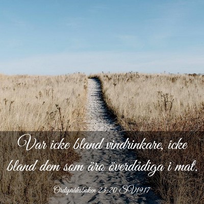 Picture 03 - Ordspråksboken 23:20 SV1917 - Var icke bland vindrinkare, icke bland dem som - Bible Verse Picture