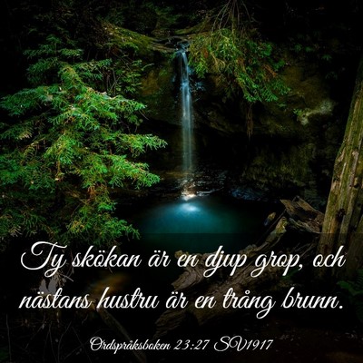 Picture 03 - Ordspråksboken 23:27 SV1917 - Ty skökan är en djup grop, och nästans hustru - Bible Verse Picture
