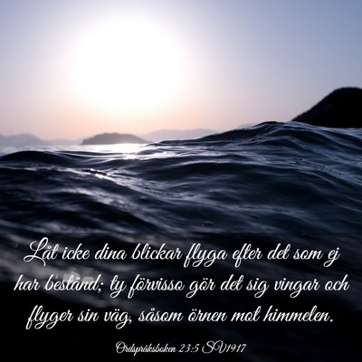 Picture 03 - Ordspråksboken 23:5 SV1917 - Låt icke dina blickar flyga efter det som ej har - Bible Verse Picture