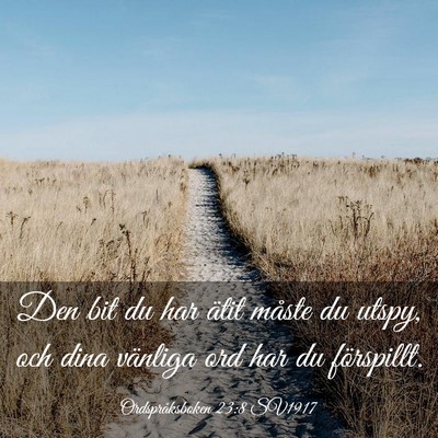 Picture 03 - Ordspråksboken 23:8 SV1917 - Den bit du har ätit måste du utspy, och dina - Bible Verse Picture
