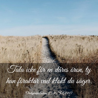 Picture 03 - Ordspråksboken 23:9 SV1917 - Tala icke för en dåres öron, ty han föraktar - Bible Verse Picture
