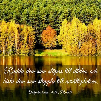 Picture 03 - Ordspråksboken 24:11 SV1917 - Rädda dem som släpas till döden, och bistå - Bible Verse Picture