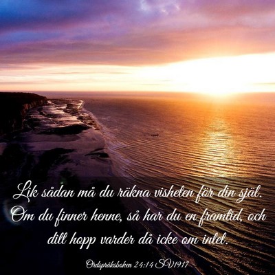 Picture 03 - Ordspråksboken 24:14 SV1917 - Lik sådan må du räkna visheten för din själ. - Bible Verse Picture