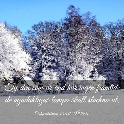 Picture 03 - Ordspråksboken 24:20 SV1917 - Ty den som är ond har ingen framtid; de - Bible Verse Picture