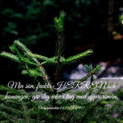 Picture 03 - Ordspråksboken 24:21 SV1917 - Min son, frukta HERREN och konungen; giv dig icke - Bible Verse Picture