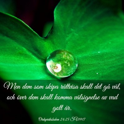 Picture 03 - Ordspråksboken 24:25 SV1917 - Men dem som skipa rättvisa skall det gå väl, - Bible Verse Picture