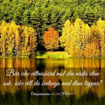 Picture 03 - Ordspråksboken 24:28 SV1917 - Bär icke vittnesbörd mot din nästa utan sak; - Bible Verse Picture
