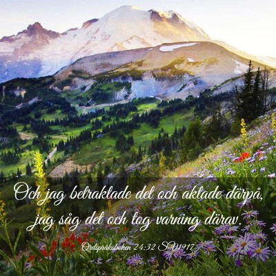 Picture 03 - Ordspråksboken 24:32 SV1917 - Och jag betraktade det och aktade därpå, jag - Bible Verse Picture