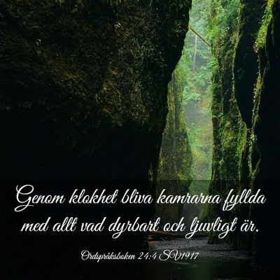 Picture 03 - Ordspråksboken 24:4 SV1917 - Genom klokhet bliva kamrarna fyllda med allt vad - Bible Verse Picture