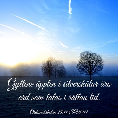 Picture 03 - Ordspråksboken 25:11 SV1917 - Gyllene äpplen i silverskålar äro ord som - Bible Verse Picture