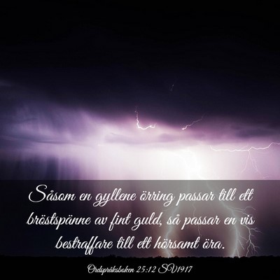 Picture 03 - Ordspråksboken 25:12 SV1917 - Såsom en gyllene örring passar till ett - Bible Verse Picture