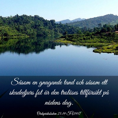 Picture 03 - Ordspråksboken 25:19 SV1917 - Såsom en gnagande tand och såsom ett skadedjurs - Bible Verse Picture