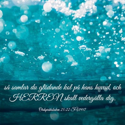 Picture 03 - Ordspråksboken 25:22 SV1917 - så samlar du glödande kol på hans huvud, och - Bible Verse Picture