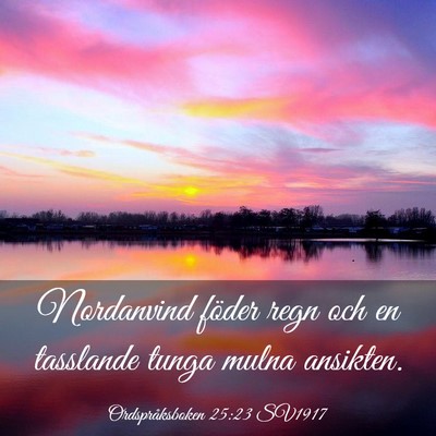 Picture 03 - Ordspråksboken 25:23 SV1917 - Nordanvind föder regn och en tasslande tunga - Bible Verse Picture