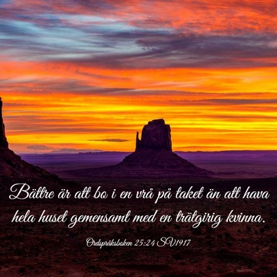 Picture 03 - Ordspråksboken 25:24 SV1917 - Bättre är att bo i en vrå på taket än att - Bible Verse Picture