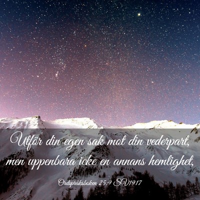Picture 03 - Ordspråksboken 25:9 SV1917 - Utför din egen sak mot din vederpart, men - Bible Verse Picture