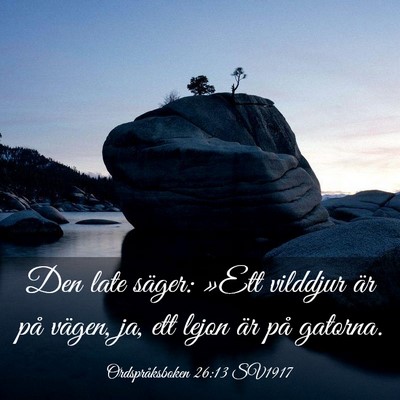 Picture 03 - Ordspråksboken 26:13 SV1917 - Den late säger: »Ett vilddjur är på vägen, - Bible Verse Picture