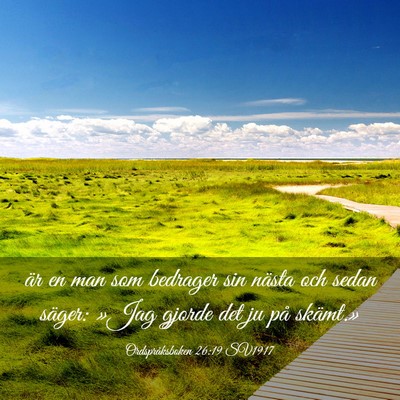 Picture 03 - Ordspråksboken 26:19 SV1917 - är en man som bedrager sin nästa och sedan - Bible Verse Picture