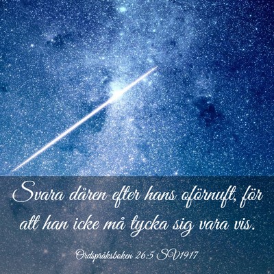 Picture 03 - Ordspråksboken 26:5 SV1917 - Svara dåren efter hans oförnuft, för att han - Bible Verse Picture