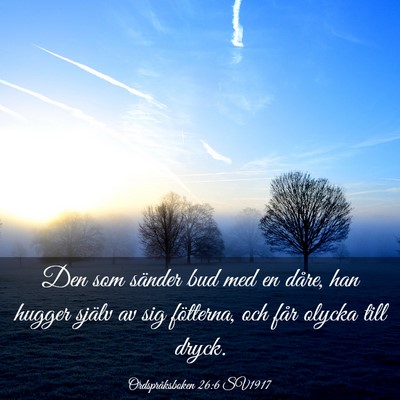 Picture 03 - Ordspråksboken 26:6 SV1917 - Den som sänder bud med en dåre, han hugger - Bible Verse Picture
