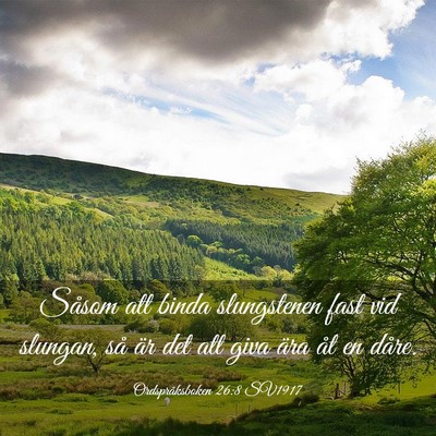 Picture 03 - Ordspråksboken 26:8 SV1917 - Såsom att binda slungstenen fast vid slungan, - Bible Verse Picture
