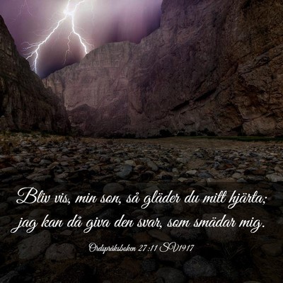 Picture 03 - Ordspråksboken 27:11 SV1917 - Bliv vis, min son, så gläder du mitt hjärta; - Bible Verse Picture