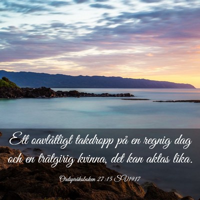Picture 03 - Ordspråksboken 27:15 SV1917 - Ett oavlåtligt takdropp på en regnig dag och en - Bible Verse Picture