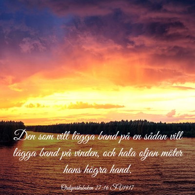 Picture 03 - Ordspråksboken 27:16 SV1917 - Den som vill lägga band på en sådan vill - Bible Verse Picture