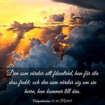 Picture 03 - Ordspråksboken 27:18 SV1917 - Den som vårdar sitt fikonträd, han får äta - Bible Verse Picture