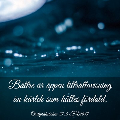 Picture 03 - Ordspråksboken 27:5 SV1917 - Bättre är öppen tillrättavisning än kärlek - Bible Verse Picture