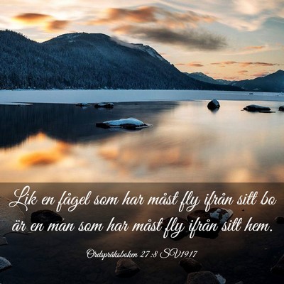 Picture 03 - Ordspråksboken 27:8 SV1917 - Lik en fågel som har måst fly ifrån sitt bo - Bible Verse Picture