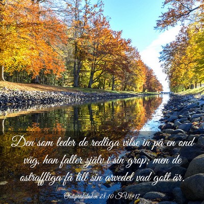 Picture 03 - Ordspråksboken 28:10 SV1917 - Den som leder de redliga vilse in på en ond - Bible Verse Picture