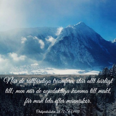 Picture 03 - Ordspråksboken 28:12 SV1917 - När de rättfärdiga triumfera, står allt - Bible Verse Picture