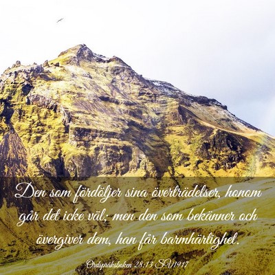 Picture 03 - Ordspråksboken 28:13 SV1917 - Den som fördöljer sina överträdelser, honom - Bible Verse Picture