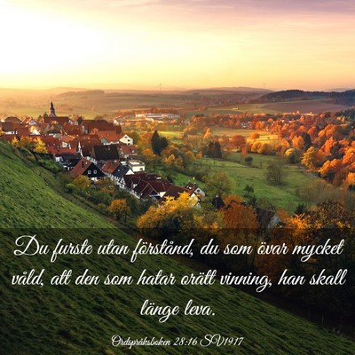 Picture 03 - Ordspråksboken 28:16 SV1917 - Du furste utan förstånd, du som övar mycket - Bible Verse Picture