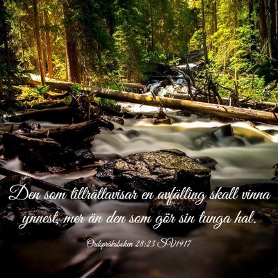 Picture 03 - Ordspråksboken 28:23 SV1917 - Den som tillrättavisar en avfälling skall vinna - Bible Verse Picture