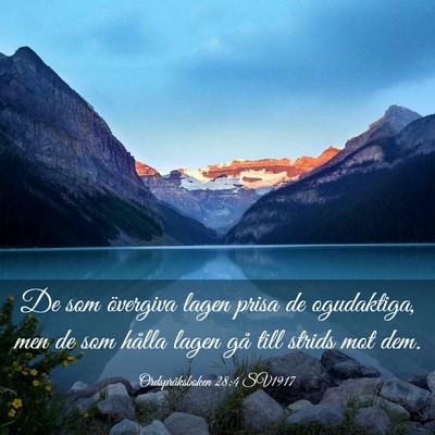 Picture 03 - Ordspråksboken 28:4 SV1917 - De som övergiva lagen prisa de ogudaktiga, men - Bible Verse Picture