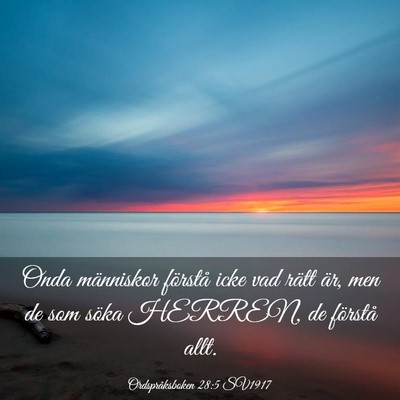 Picture 03 - Ordspråksboken 28:5 SV1917 - Onda människor förstå icke vad rätt är, men - Bible Verse Picture