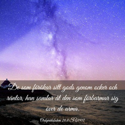 Picture 03 - Ordspråksboken 28:8 SV1917 - De som förökar sitt gods genom ocker och - Bible Verse Picture