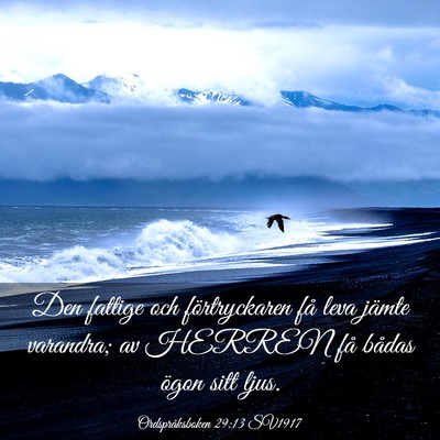 Picture 03 - Ordspråksboken 29:13 SV1917 - Den fattige och förtryckaren få leva jämte - Bible Verse Picture