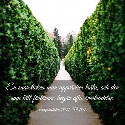Picture 03 - Ordspråksboken 29:22 SV1917 - En snarsticken man uppväcker träta, och den som - Bible Verse Picture