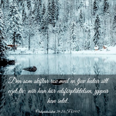 Picture 03 - Ordspråksboken 29:24 SV1917 - Den som skiftar rov med en tjuv hatar sitt eget - Bible Verse Picture