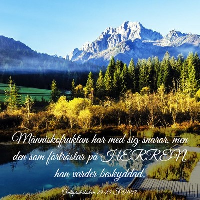 Picture 03 - Ordspråksboken 29:25 SV1917 - Människofruktan har med sig snaror, men den som - Bible Verse Picture