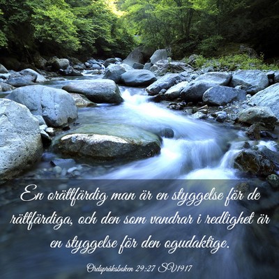 Picture 03 - Ordspråksboken 29:27 SV1917 - En orättfärdig man är en styggelse för de - Bible Verse Picture
