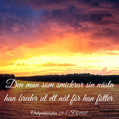 Picture 03 - Ordspråksboken 29:5 SV1917 - Den man som smickrar sin nästa han breder ut ett - Bible Verse Picture